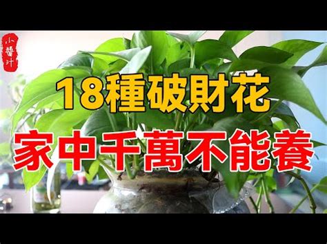 樹根穿牆如何處理